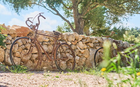 Ca'N Galeri: Roue, Vélo, Roue De Bicyclette, Vélo Fourchette