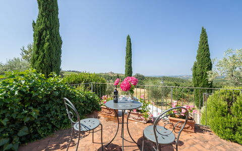 Gaiole in Chianti 915: Arbuste, Meubles, Mobilier De Jardin, Tableau De Plein Air, Jardin, Chaise, Aménagement Paysager, Table Cuisine Et Salle A Manger, Pot De Fleur