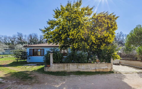 Villa Mariuccia: Bleu, Arbre, Feuille, Branche, Domicile, Ombre, Suppression Des Plantes Ligneuses, Lumière Du Soleil, Chalet, Jardin
