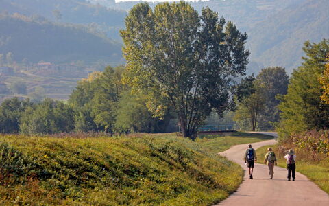 Soriso: Arbre, Vert, Feuille, Herbe, Paysage Naturel, Végétation, Route, Prairie, Piste