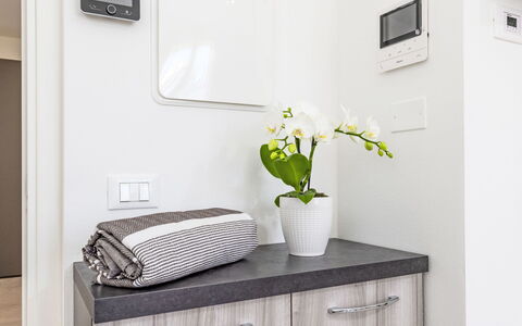 Cecina 310: Design Intérieur, Cabinetry, Meubles, Pièce, Comptoir, Luminaire Plomberie, Électroménager, Armoire De Toilette, Plante D'Appartement, Robinet