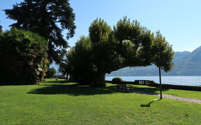 Tremezzina 609: Herbe, Paysage Naturel, Paysage, Pelouse, Extérieur Banc, Tronc, Jardin, Lac, Parc