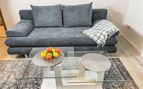 Boddenidyll: Meubles, Sol, Sol, Canapé, Salon, Plante D'Appartement, Parquet, Throw Pillow, Dur