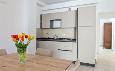 Pianosa i 610.2: Meubles, Design Intérieur, Sol, Bois, Comptoir, Sol, Cuisine, Pièce, Table, Cabinetry