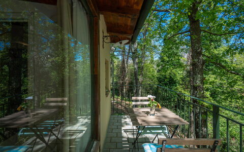 Grace Home, Pool, Wifi, Gambassi Terme: Bois, Meubles, Forêt, Chaise, Porche, Réserve Naturelle, Jungle, Dur, Ombre, Lumière Du Soleil