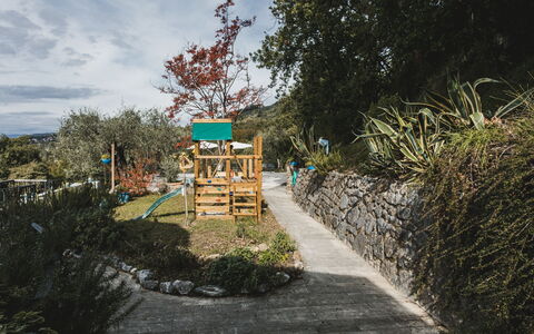 Villa Vernazza: Arbuste, Jardin, Printemps, Aménagement Paysager, Ombre, Jardin Botanique