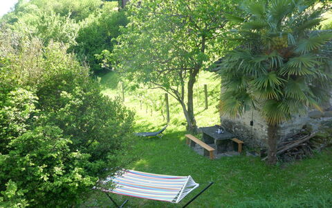 Casa Jolli: Arbuste, Jardin, Arrière-Cour, Pelouse, Ombre, Aménagement Paysager, Cour, Mobilier De Jardin, Jardin Botanique