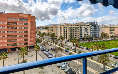 Malaga Pacifico: Meubles, Sol, Domicile, Sol, Chaise, Ombre, Appartement, Mobilier De Jardin, Plante D'Appartement, Table Cuisine Et Salle A Manger