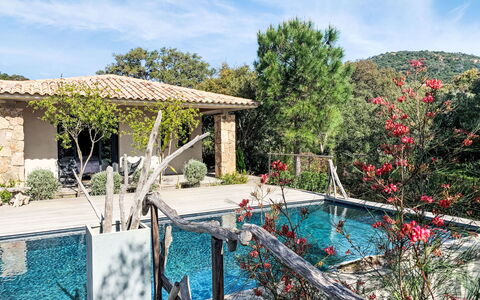 La Cupulatta: Meubles, Sol, Domicile, Sol, Chaise, Ombre, Appartement, Mobilier De Jardin, Plante D'Appartement, Table Cuisine Et Salle A Manger