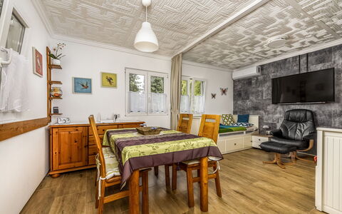 Mediana: Meubles, Sol, Domicile, Sol, Chaise, Ombre, Appartement, Mobilier De Jardin, Plante D'Appartement, Table Cuisine Et Salle A Manger