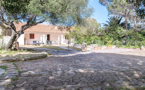 Francesca: Ombre, Dalle, Jardin, Suppression Des Plantes Ligneuses, Chalet, Biens, Aménagement Paysager, Arrière-Cour, Hacienda, Cour