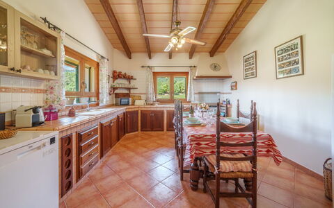 Paratge de Fangar: Meubles, Sol, Bois, Design Intérieur, Plafond, Cuisine, Sol, Comptoir, Pièce, Cabinetry