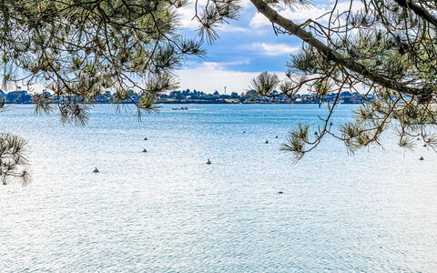Villa de la Pointe du Blair: Bleu, L'Eau, Ressources En Eau, Jour, Plan D'Eau, La Nature, Branche, Lac