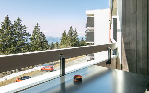 Les Marmottes: Appartement, Balcon, Mélèze, Daylighting, Balustrade, Famille Pine