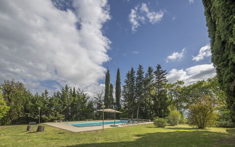 Cottage Monti Pet Friendly With Shared Pool: Arbre, Lot Terre, Ombre, Mélèze, Aménagement Paysager, À Feuilles Persistantes, Piscine, Famille Pine