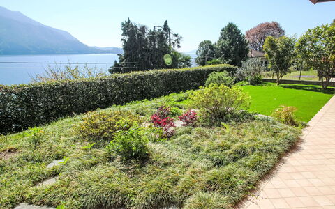 Anna: Vert, Végétation, Arbuste, Jardin, Paysage, Communauté Des Plantes, Couverture De Sol, Aménagement Paysager, Pelouse