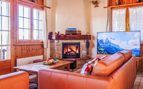 Panorama des Cimes: Bois, Meubles, Design Intérieur, Pièce, Salon, Canapé, Tache De Bois, Télévision, Chaise