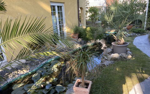 Feli: Piscine, Recours, Loisir, Thermes, Hôtel, Ville Resort, Mobilier De Jardin, Centre De Loisirs, Vacances