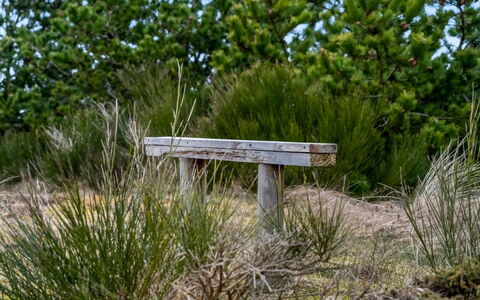 Godja - 1Km from the Sea: 