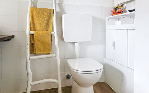 Al Civico 29: Siège De Toilette, Toilette, Salle De Bains, Luminaire Plomberie, Sol, Sol, Plomberie
