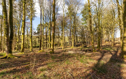 Doonans Cottage: Feuille, Branche, Arbre, Environnement Naturel, Bois, Végétation, Paysage Naturel, Forêt, Bosquet, Écorégion