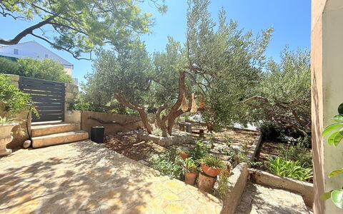 Appartamento Olive Garden, Ac, Wifi, Hvar: Arbuste, Jardin, Suppression Des Plantes Ligneuses, Ombre, Aménagement Paysager, Arrière-Cour, Dalle, Sol, Cour, Cour