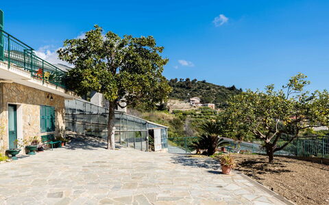 Casa Cycas: Piscine, Recours, Composite, Des Loisirs, Loisir, Ombre, Vacances, Ville Resort, Centre De Loisirs