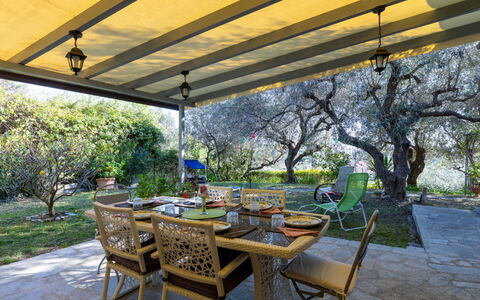Villa degli Ulivi: Piscine, Recours, Composite, Des Loisirs, Loisir, Ombre, Vacances, Ville Resort, Centre De Loisirs
