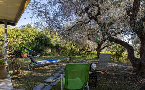 Villa degli Ulivi: Piscine, Recours, Composite, Des Loisirs, Loisir, Ombre, Vacances, Ville Resort, Centre De Loisirs