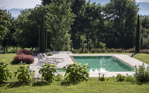 Villa Cortona: Eco-Sustainable Luxury Estate with: Arbuste, Jardin, Piscine, Aménagement Paysager, Arrière-Cour, Ombre, Pelouse, Dalle, Cour, Mobilier De Jardin