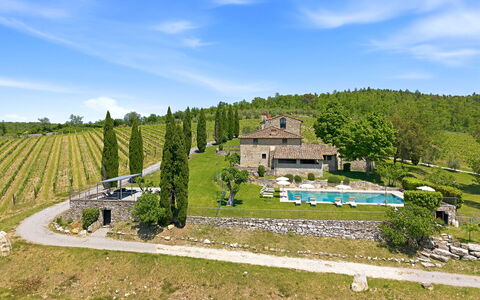 Villa del Chianti: Vineyards & View: Maison, Domicile, Biens, Chalet, Ferme, Jardin, Aménagement Paysager, Villa, Cour, Village