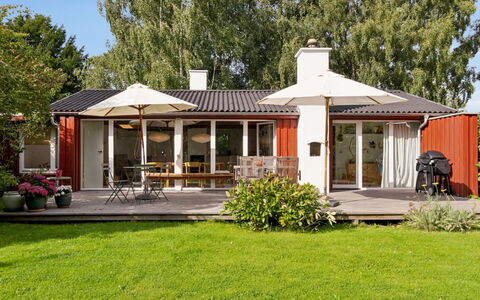 Lauri - 2.3Km from the Sea: Végétation, Arbuste, Printemps, Chalet, Jardin, Ombre, Arrière-Cour, Cour, Chaise