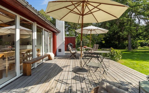 Lauri - 2.3Km from the Sea: Végétation, Arbuste, Printemps, Chalet, Jardin, Ombre, Arrière-Cour, Cour, Chaise