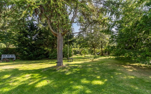 Lauri - 2.3Km from the Sea: Végétation, Arbuste, Printemps, Chalet, Jardin, Ombre, Arrière-Cour, Cour, Chaise