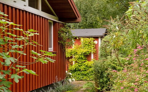 Lauri - 2.3Km from the Sea: 