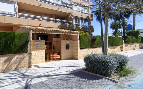 Oasis: Appartement, Condominium, Hôtel