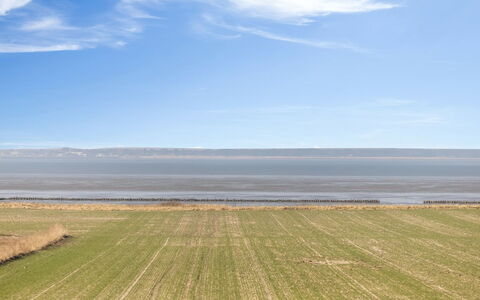 Freja - 12Km from the Sea: Biens, Ombre, Allée, Ferme