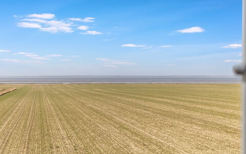 Freja - 12Km from the Sea: Biens, Ombre, Allée, Ferme