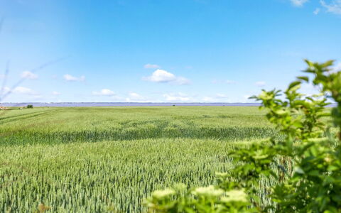 Freja - 12Km from the Sea: Biens, Ombre, Allée, Ferme