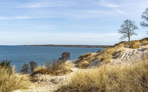 Terttu - 250M from the Sea: Bois, Domicile, Porche, Plate-Forme, Dur, Toit, Tache De Bois, Parquet, Eco Hôtel
