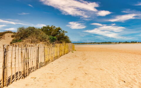 La Dune: Ciel, Bleu, Jour, Environnement Naturel, Horizon, Plage, Nuage, Le Sable, Écorégion, Été