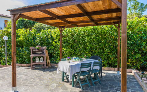 Saida: Meubles, Bois, Design Intérieur, Sol, Cuisine, Cabinetry, Sol, Pièce, Principaux Appliance, Placard