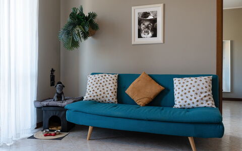 La Casa del Saggio: Meubles, Design Intérieur, Coussin, Canapé, Sol, Sol, Textile, Throw Pillow, Salon, Pièce