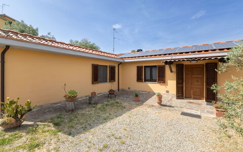 Pilar: Jour, Bâtiment, Fenêtre, Façade, Appartement, Design Urbain, Condominium, Usage Mixte