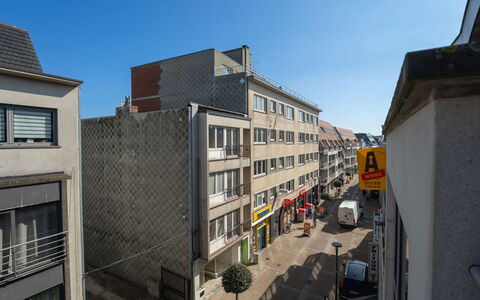 Ter Duyne with Balcony: Appartement, Balcon, Lumber, Hôtel, Porche, Cabane En Rondins