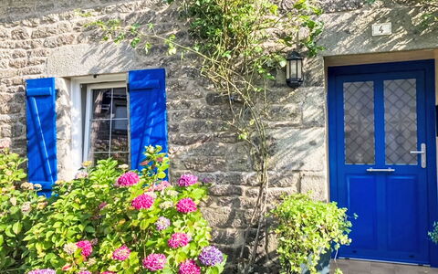 Maison de Langonnet: Bleu, Fleur, Mur, Jaune, Porte, Arbuste, Pot De Fleur, Accueil Porte, Printemps