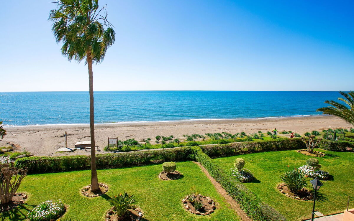 Las Gaviotas