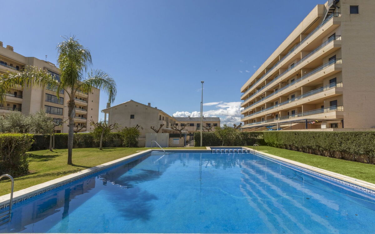 Torrenova Iv