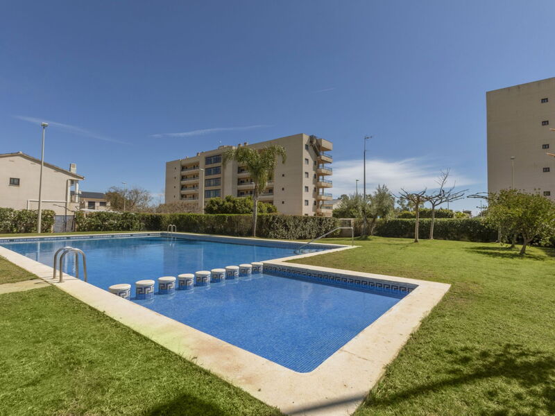 Torrenova Iv