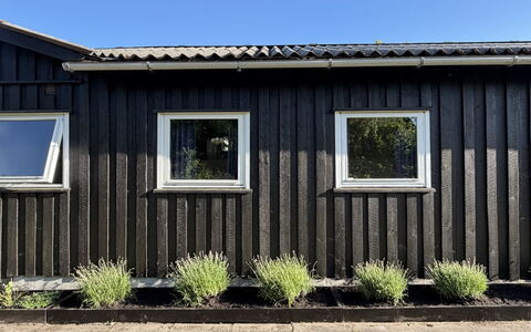Hælf - 600M from the Sea: Bois, Composite, Siding, Dur, Planche, Daylighting